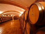 Wine barrels in the winery