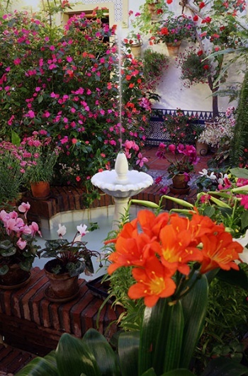 Festival of the Courtyards in Cordoba
